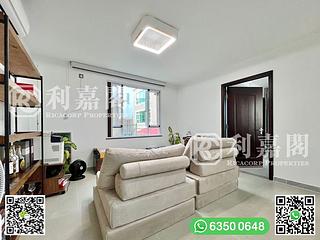 清水湾 - 茅莆 10