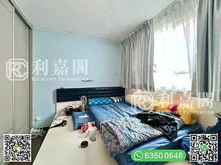 清水湾 - 茅莆 19