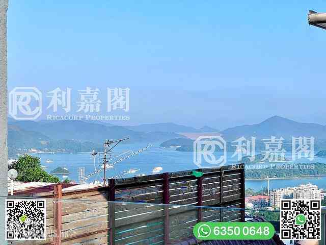 西贡 - 茅坪新村 38