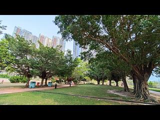 数码港 - 贝沙湾2期 南岸1座 12