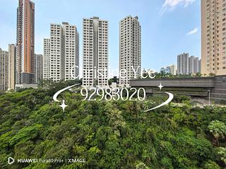 Happy Valley - San Francisco Towers 03