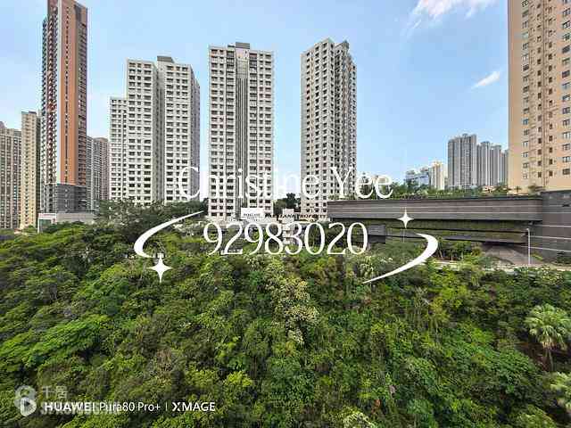 Happy Valley - San Francisco Towers 03
