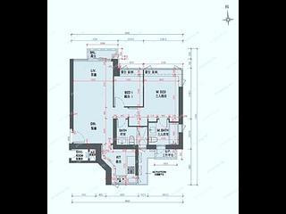 Sai Ying Pun - The Summa 19