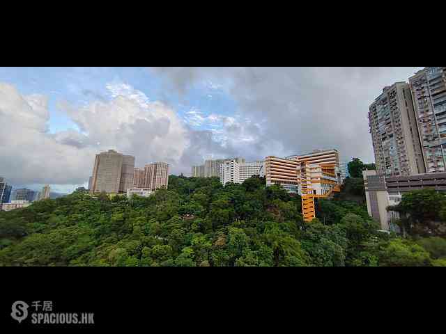 North Point - Lime Habitat 11