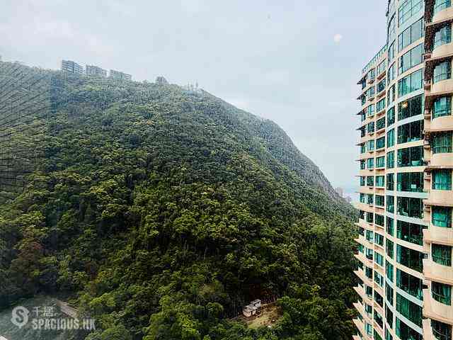 Mid Levels Central - Tregunter Tower 3 17
