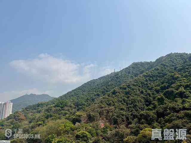 坚尼地城 - 傲翔湾畔 03