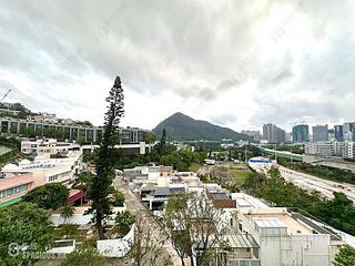 Shouson Hill - Ansaldo 17