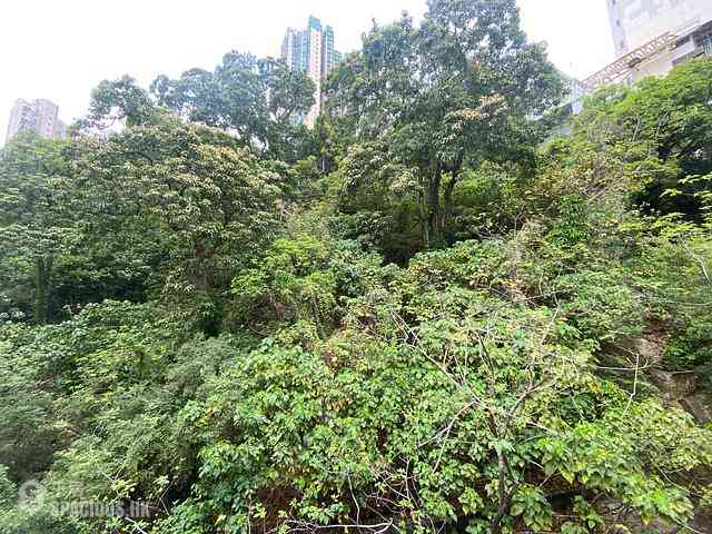 Kennedy Town - Po Lung House 10