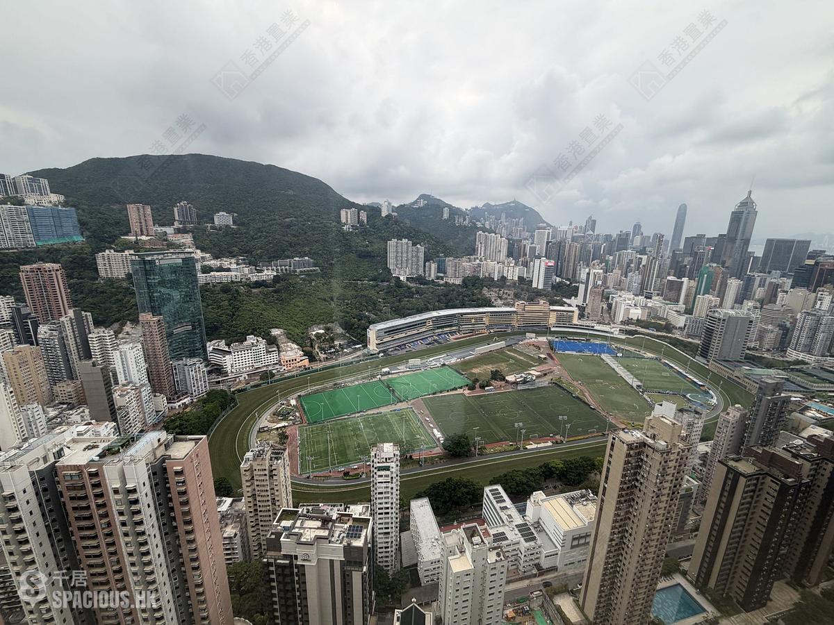 跑马地 - 乐天峰 01