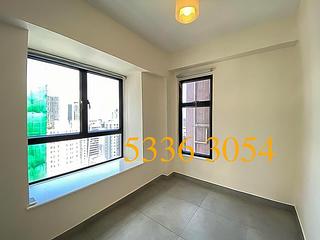 Poho - Rich View Terrace 03