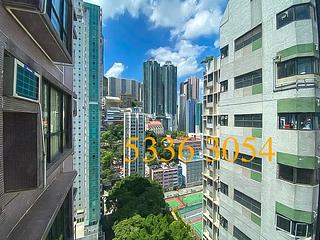 Poho - Rich View Terrace 04