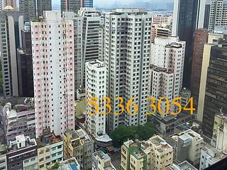 Poho - Rich View Terrace 06