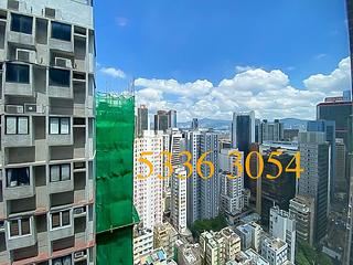 Poho - Rich View Terrace 07