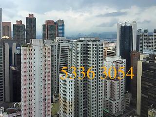 Poho - Rich View Terrace 08