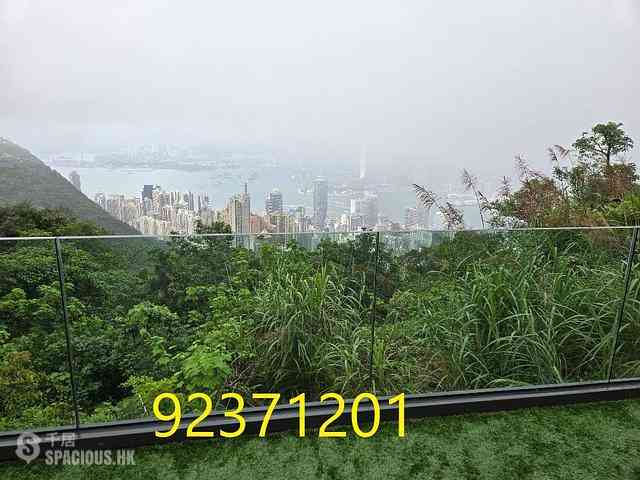 The Peak - Mountain View 02