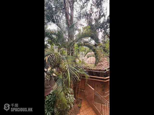 Stanley - Banyan Villas 20