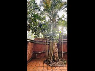 Stanley - Banyan Villas 06