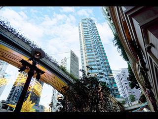Wan Chai - The Avenue 14