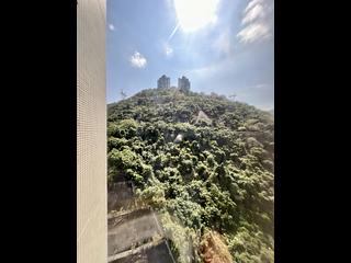 東半山 - 珀苑 08