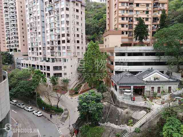 跑马地 - 友谊大厦 12