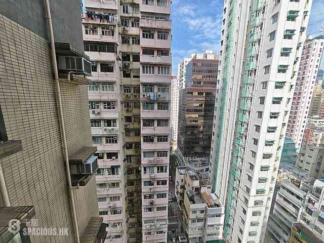 Poho - Tower 125 15