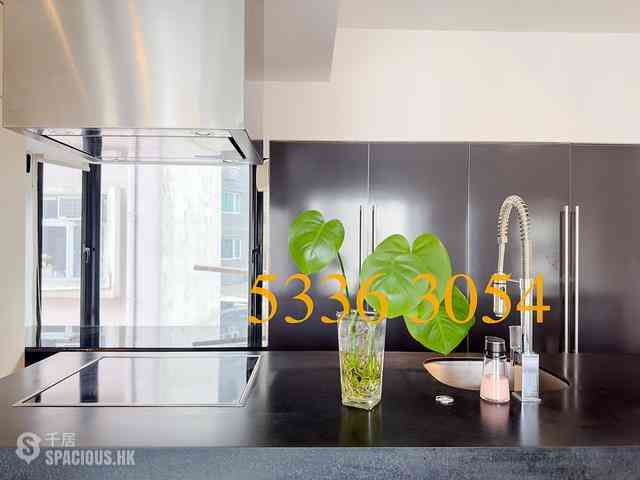 Mid Levels Central - Woodlands Terrace 10