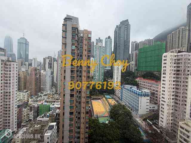 Poho - Tower 125 13