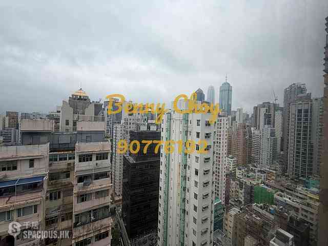 Poho - Tower 125 14