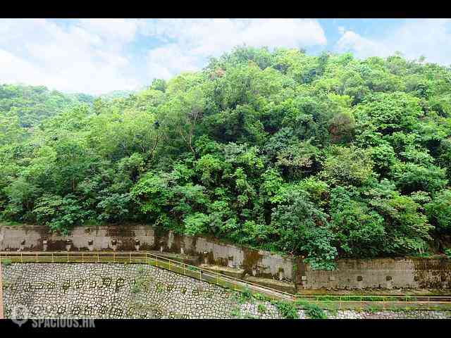Pok Fu Lam - Chi Fu Fa Yuen 24
