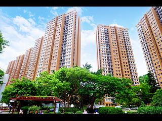 Pok Fu Lam - Chi Fu Fa Yuen 02
