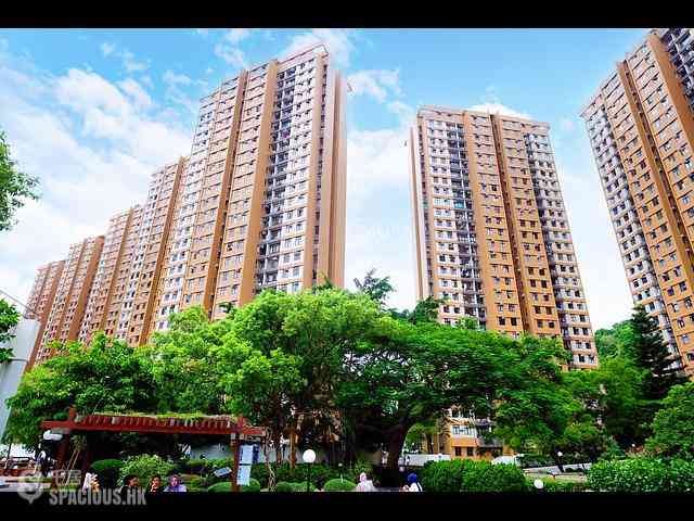 Pok Fu Lam - Chi Fu Fa Yuen 02