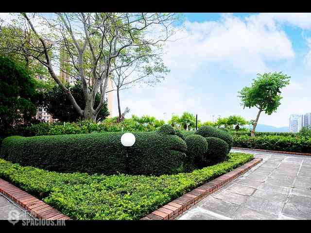 Pok Fu Lam - Chi Fu Fa Yuen 28