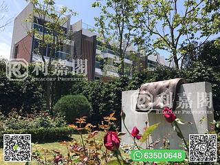 清水湾 - 傲泷 23