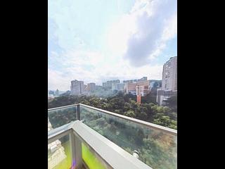 North Point - Lime Habitat 03
