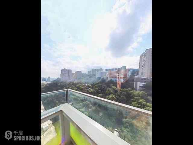 North Point - Lime Habitat 03
