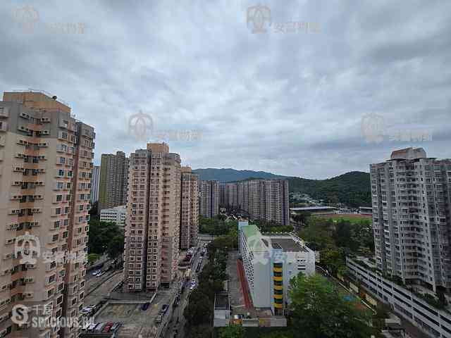 Tai Po - La Fontaine Block B 03