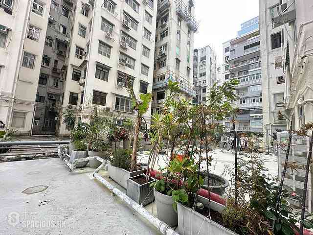 Causeway Bay - Victoria Park Mansion 05