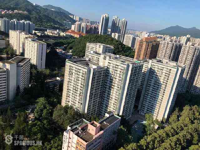 大围 - 金狮花园2期 10