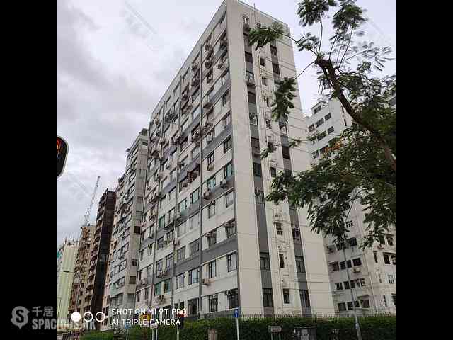 Ho Man Tin - Kowloon Tong Mansion 15