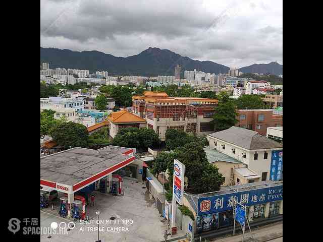Ho Man Tin - Kowloon Tong Mansion 04