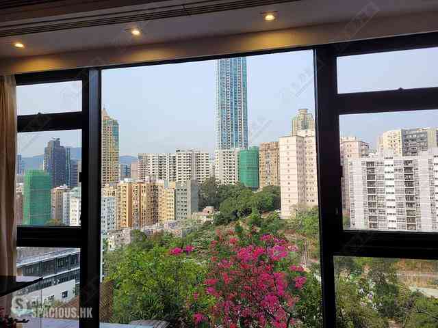 Yau Ma Tei - King's Park Hill 07