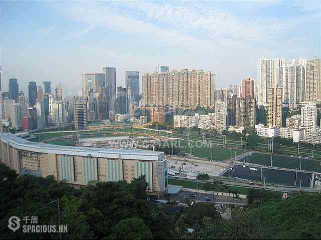 Stubbs Road - 24, Tung Shan Terrace 01