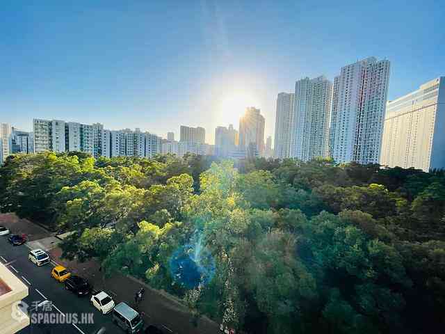 Hung Hom - Laguna Verde 02
