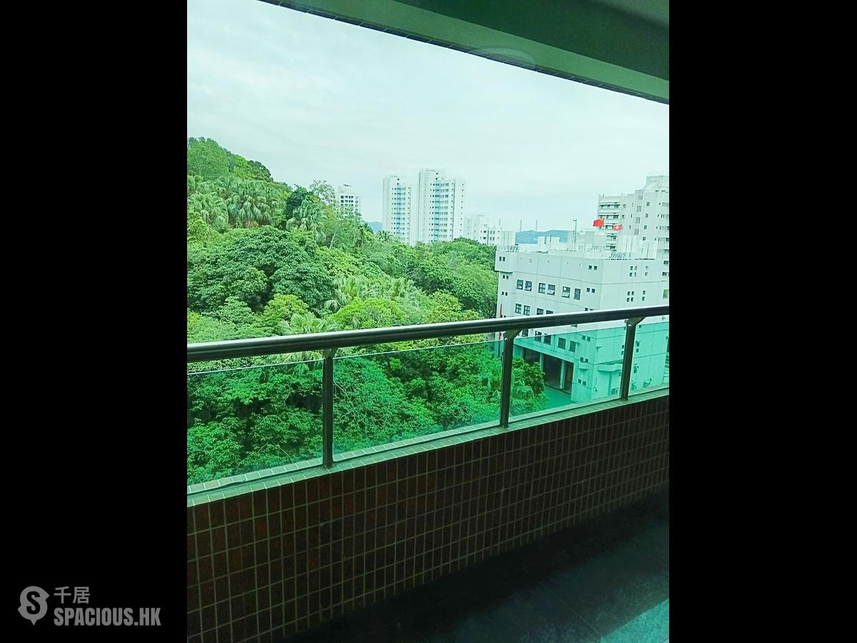 薄扶林 - 帝柏园3座 01