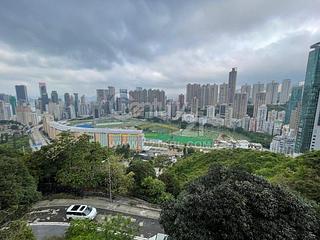 司徒拔道 - 东山台24号 02