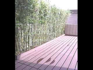山顶 - 赛诗阁 09