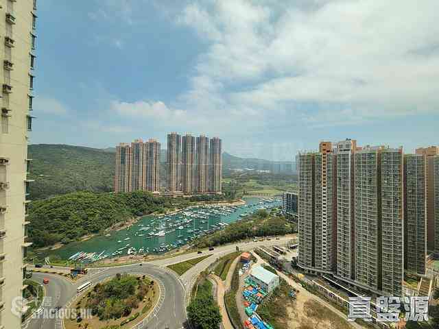 Tseung Kwan O - Tseung Kwan O Plaza Phase 2 Block 6 01