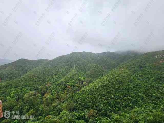 Tai Tam - Hong Kong Parkview 01