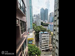 Poho - Rich View Terrace 06