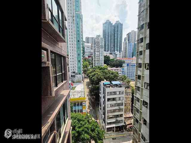 Poho - Rich View Terrace 06